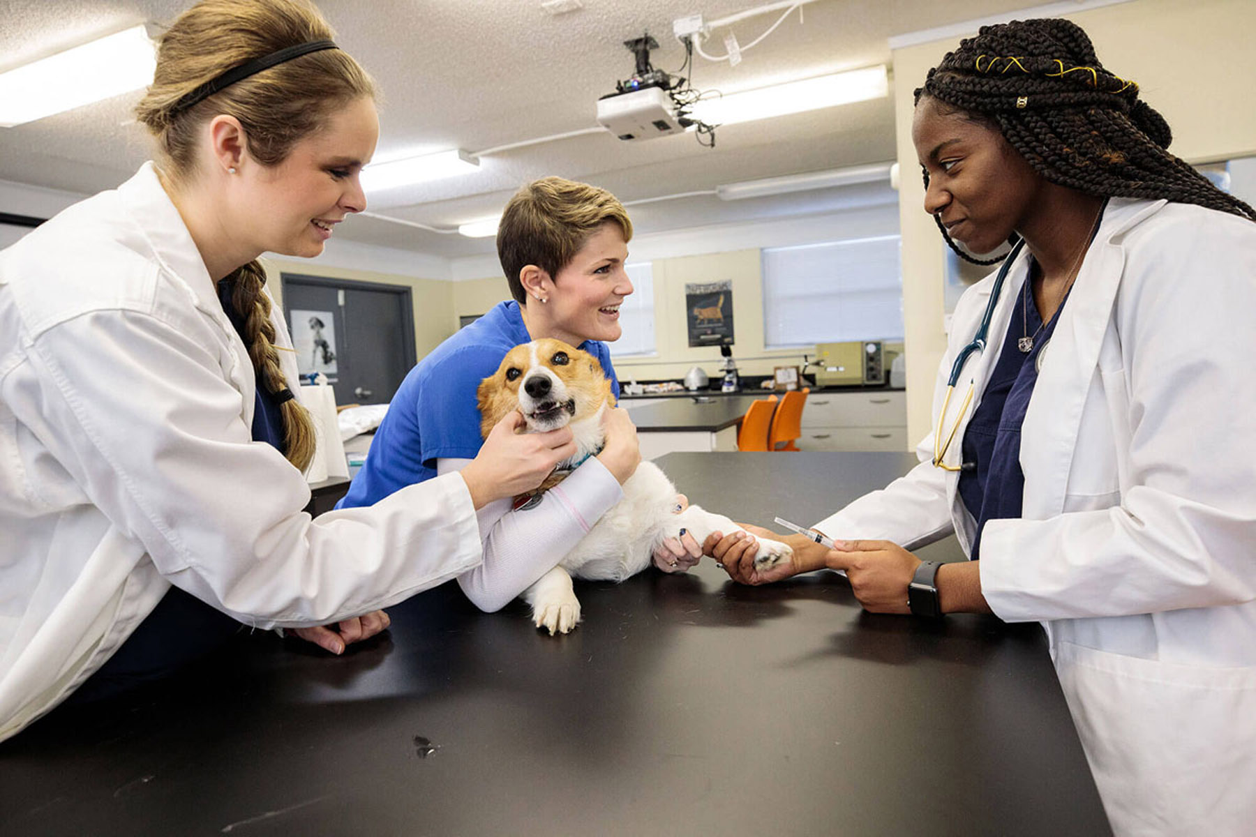 Veterinary Science Veterinary Science