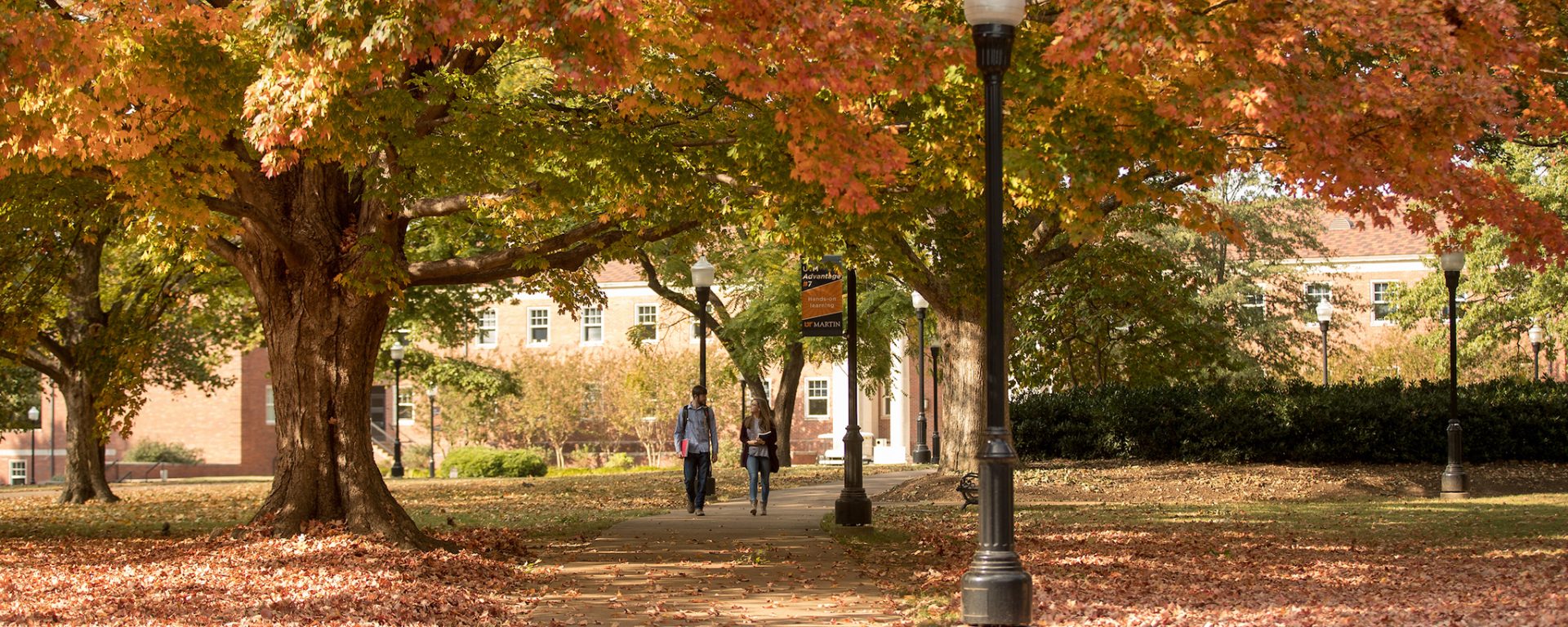 Campus quad in fall
