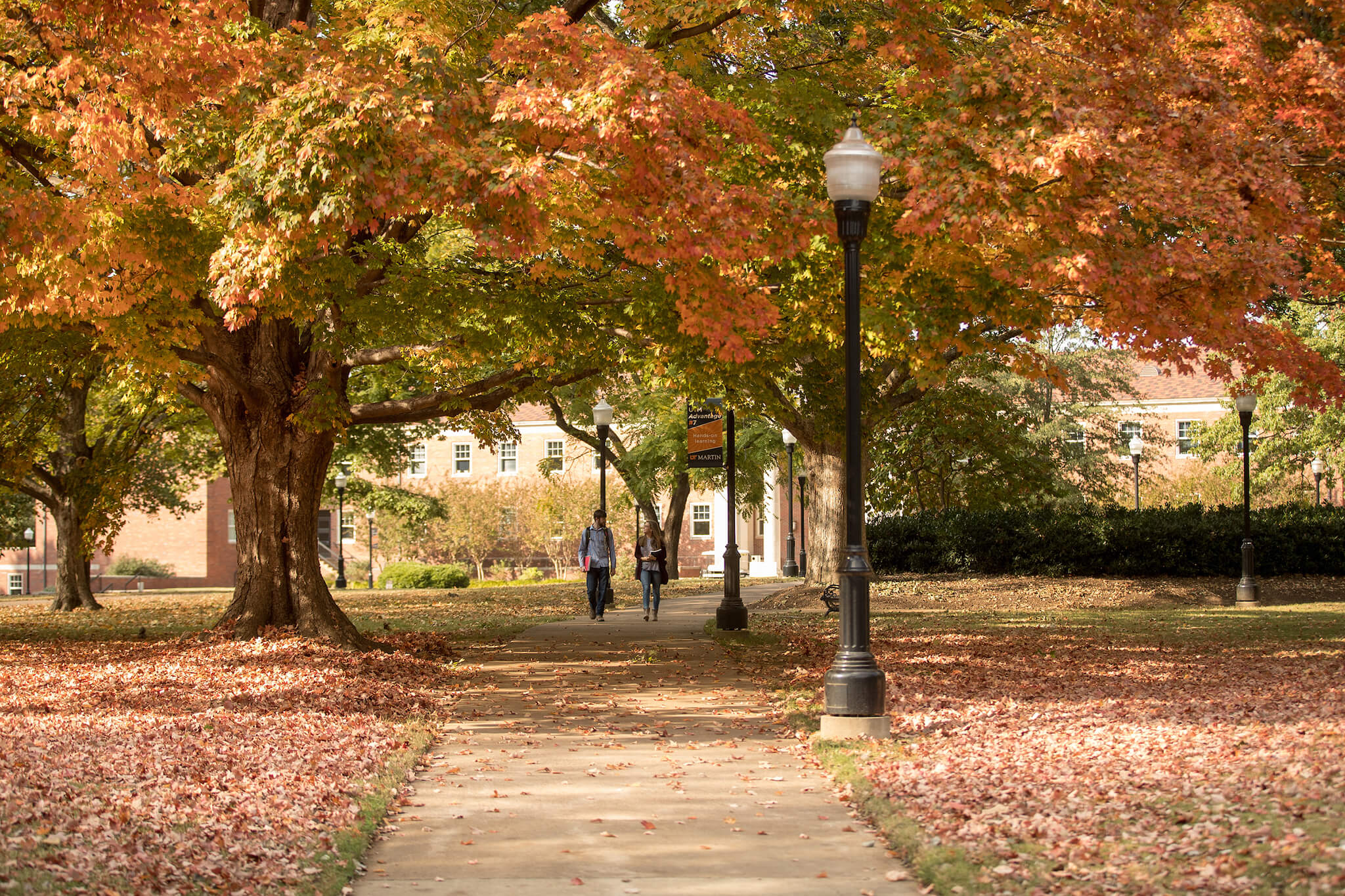 Campus quad in fall